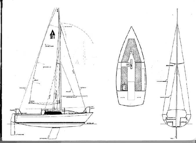 Line drawing Jaguar 21